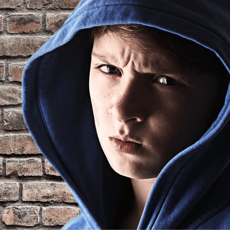 Elementary school Course | Teaching Students Who Have Suffered Complex Trauma
