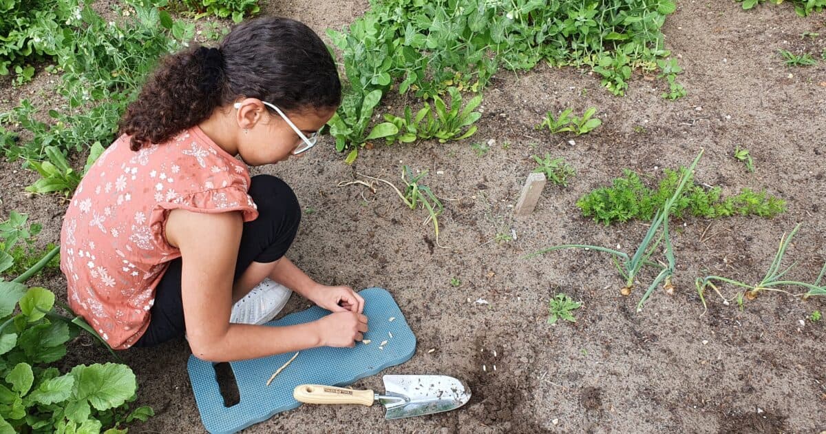 Substantial increase in participating primary schools in Week of the School Garden
