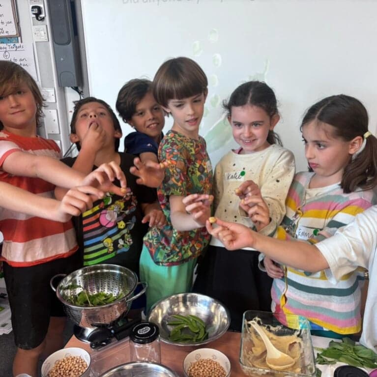 Elementary school Lesson Package | The Bean Curriculum