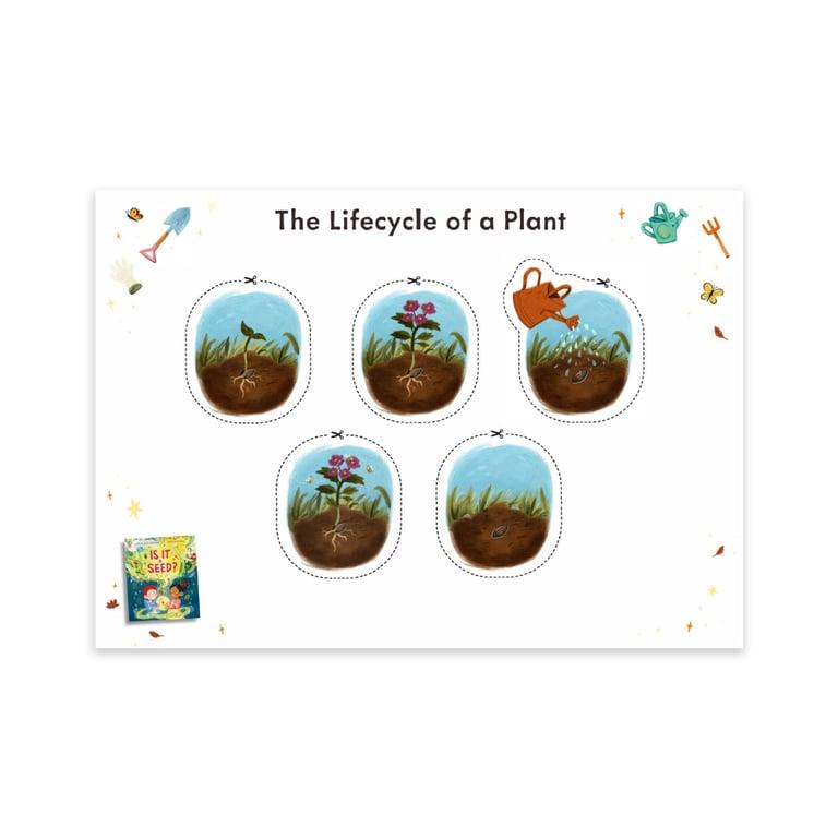 Elementary school Worksheet | Is It a Seed? Worksheet