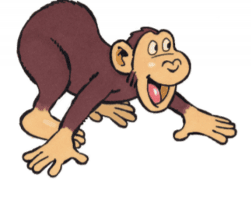 Monkey