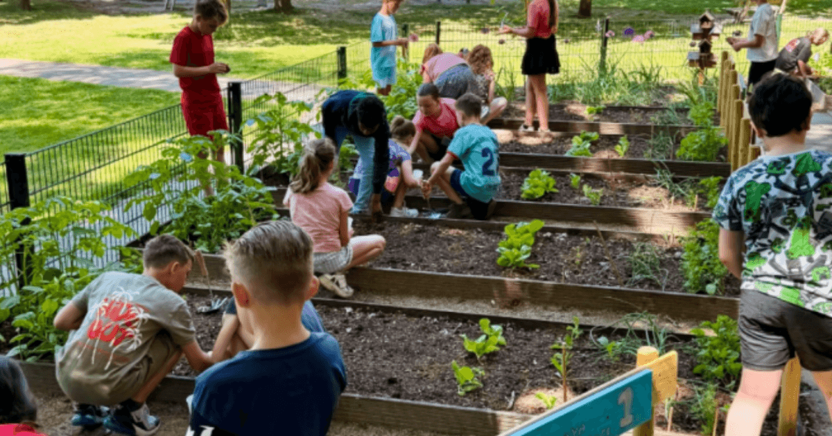 School Garden Boost South Holland accelerates school garden education