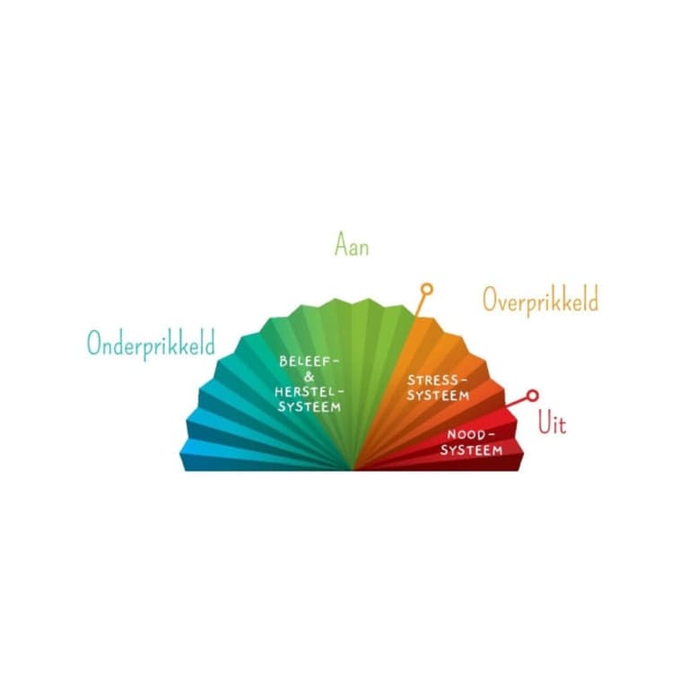 Elementary school Material | The Sensory Fan-Model