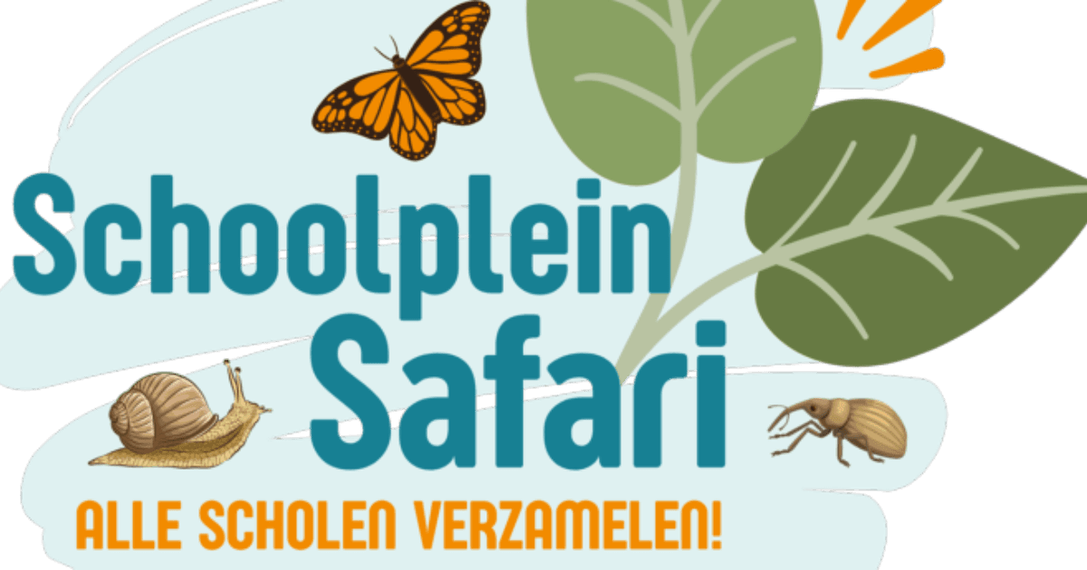 Primary school pupils in grades 6/7/8 on Schoolyard Safari
