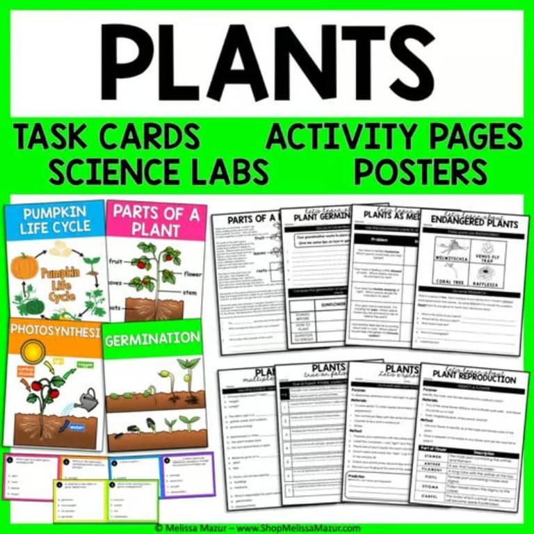 Elementary school Lesson Package | Plants