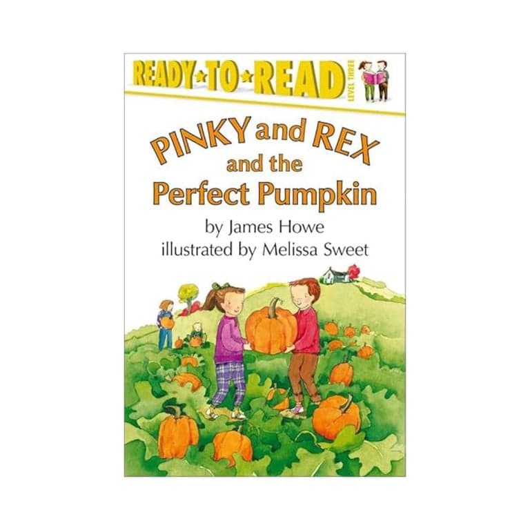 Elementary school Lesson Idea | Using Chapter Titles to Determine the Main Idea (Fiction)