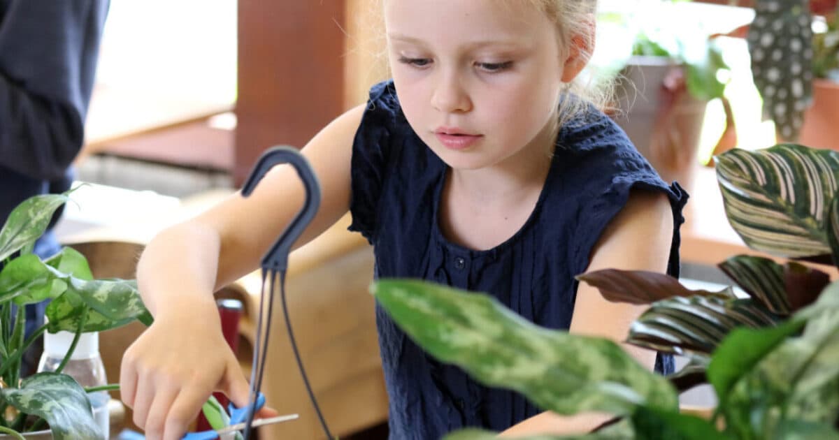 Specific Grant for Ventilation in Schools (SUVIS) Opens Again