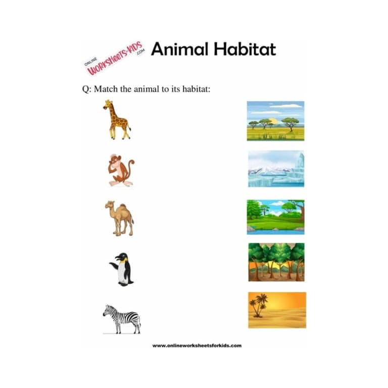 Elementary school Worksheet | Animal Habitats Worksheets for Grade 1