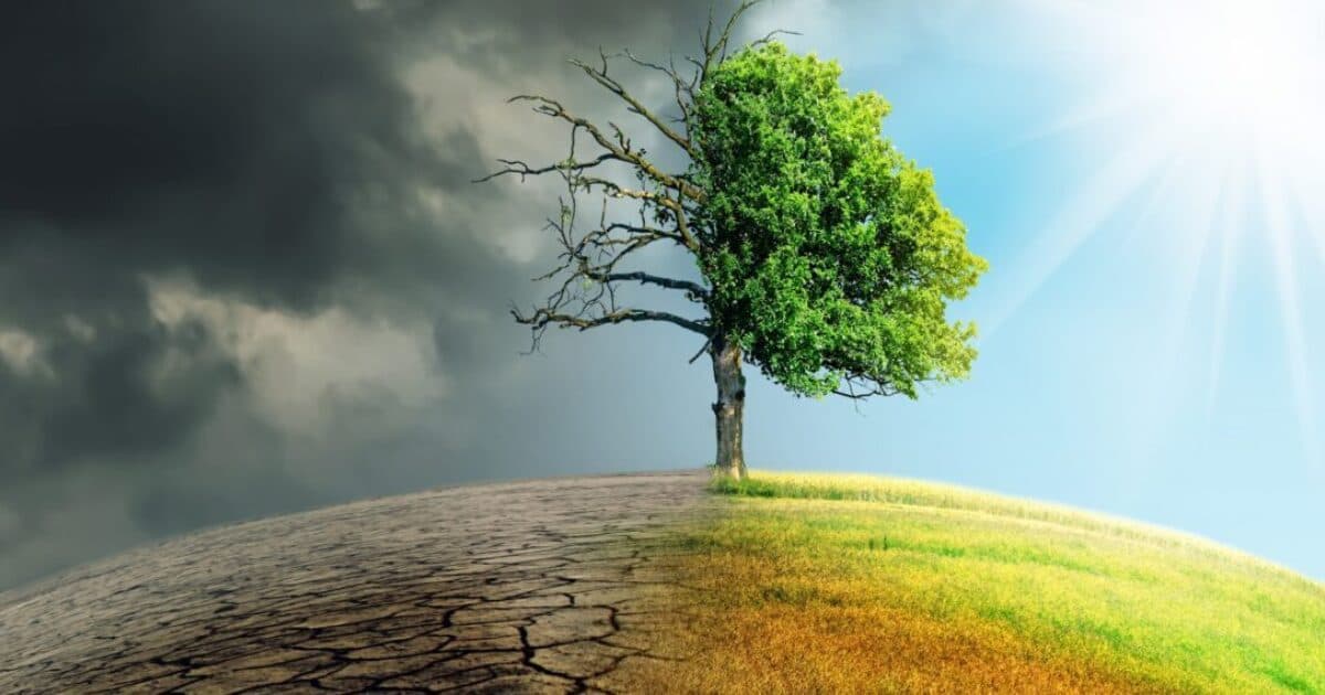 Positive climate education offers opportunities