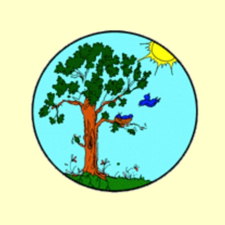 Elementary school Lesson Sequence | Comparing Plant Parts