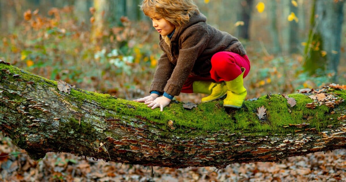 Risicoach from VeiligheidNL helps childcare providers with risky play