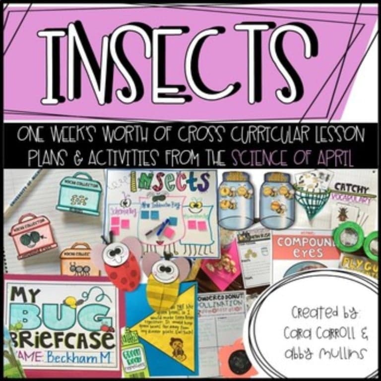 Elementary school Lesson Package | Insects