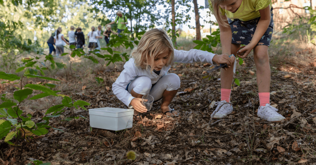Primary schools get to work with soil life