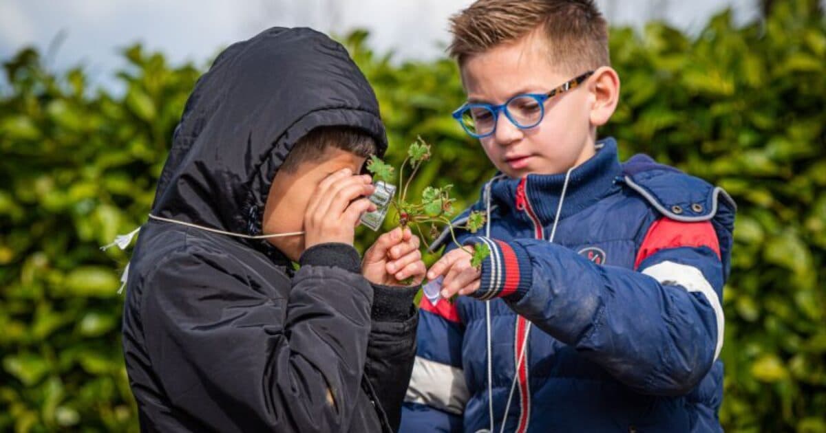 Free online webinar about the Sustainable Future teaching package