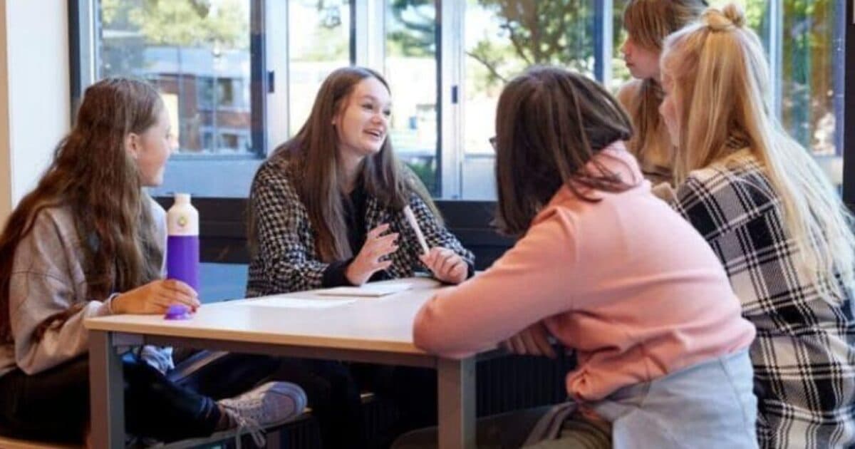 Discover Healthy School activities during the Online Wellbeing Activities Fair