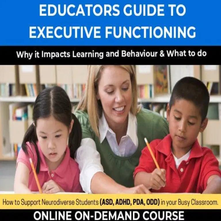 Elementary school Course | Educators Guide to Executive Functioning