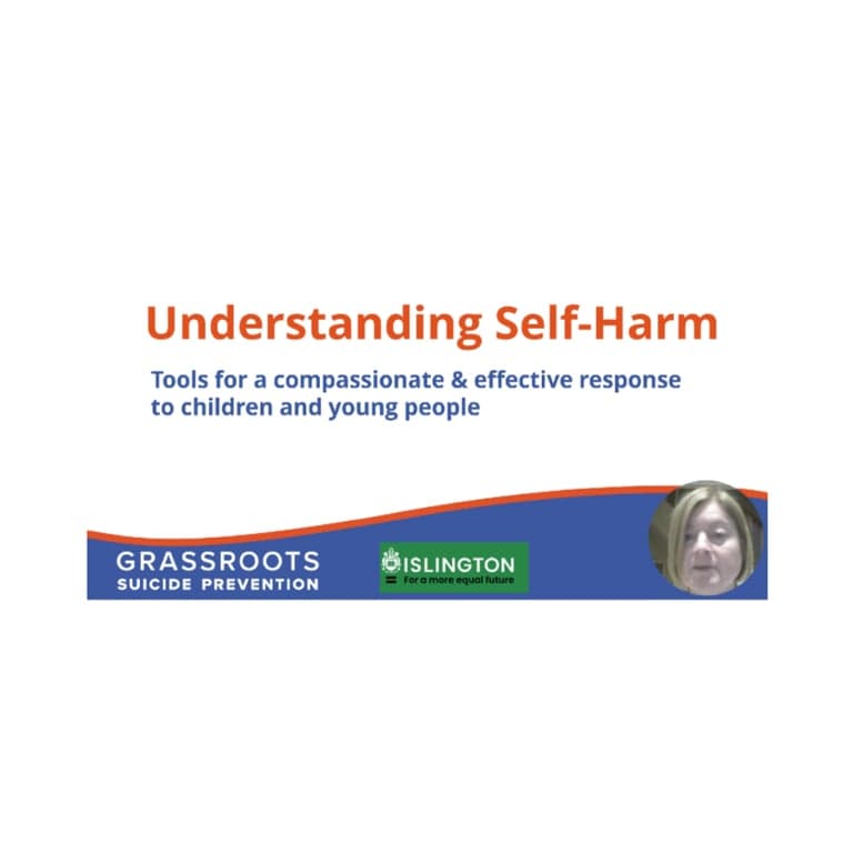 Elementary school Webinar | Islington – Online Webinar Recording: Understanding Self-Harm, Children and Young People