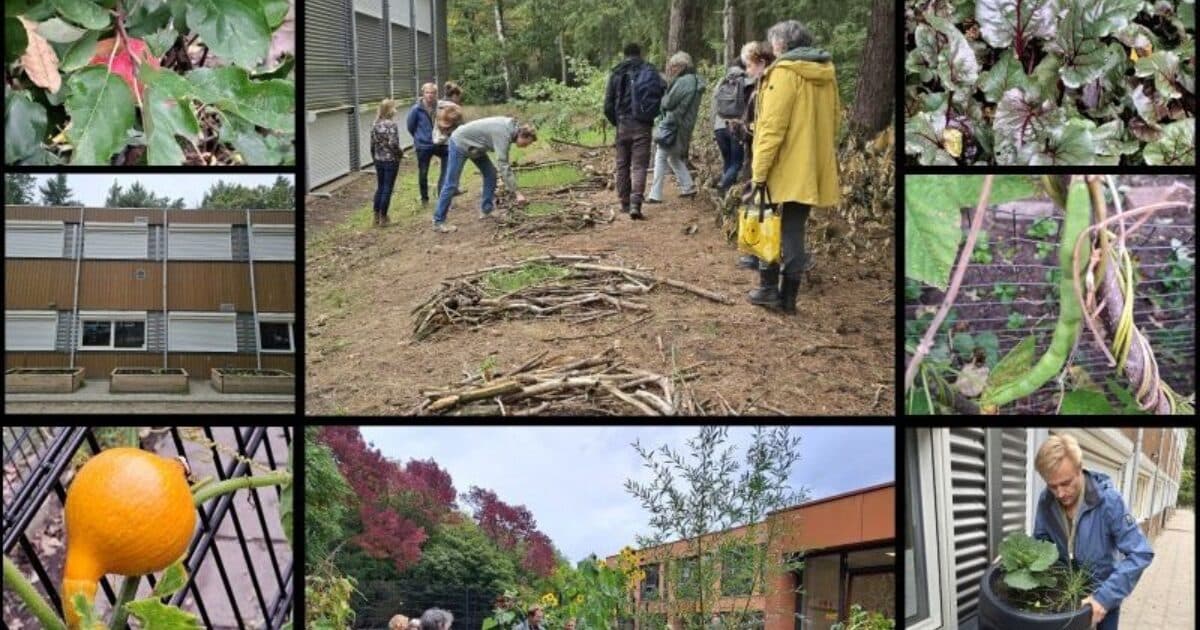 Jong Leren Utrecht visits Utrecht school gardens