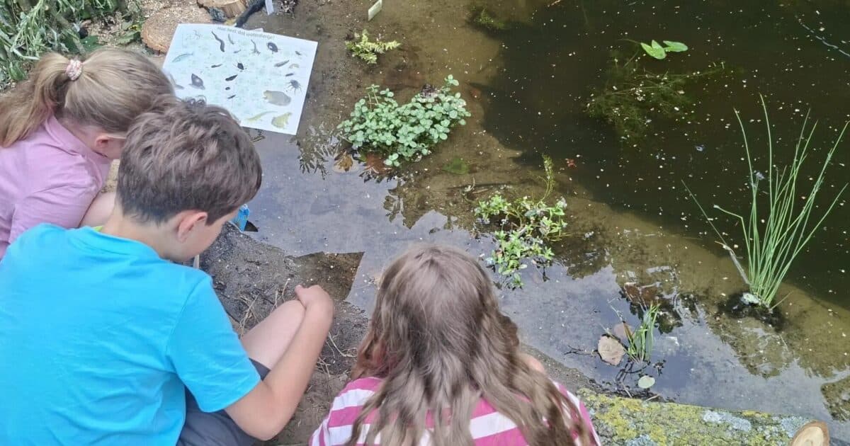 1st Van der Hucht School in Soest gets first Tiny Pond
