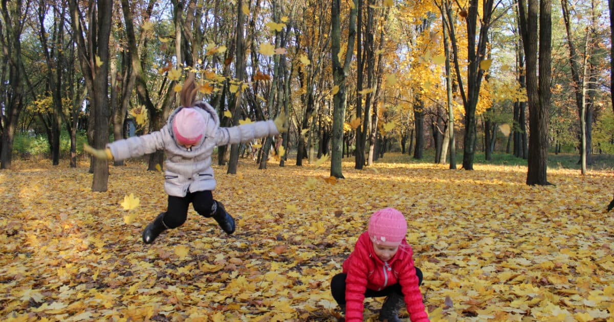 Eleventh Conference on Children & Nature