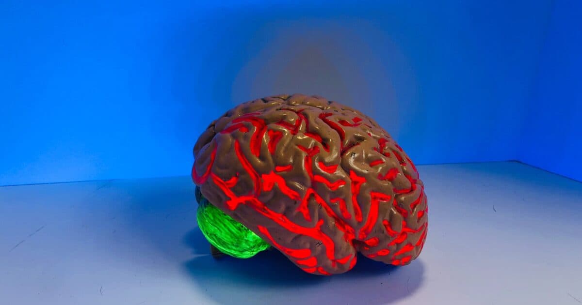 The adolescent brain and the coronavirus crisis
