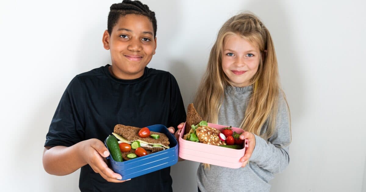 Lunchbox without Junk – Taste Lessons for the 2023/2024 school year