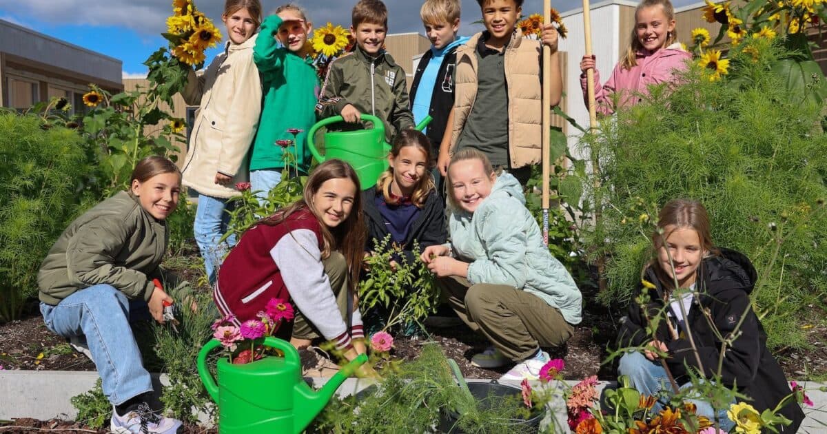 School Gardening Education for Fifteen Primary Schools in Schouwen-Duiveland