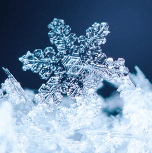 Elementary school Lesson Idea | Diary of a Snowflake