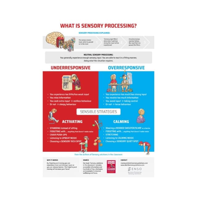 Elementary school Poster | What is Sensory Processing?