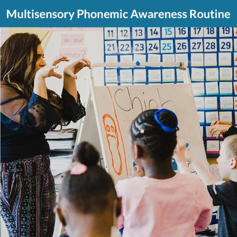 Elementary school Course | The Phonics in Motion Online On-Demand Course