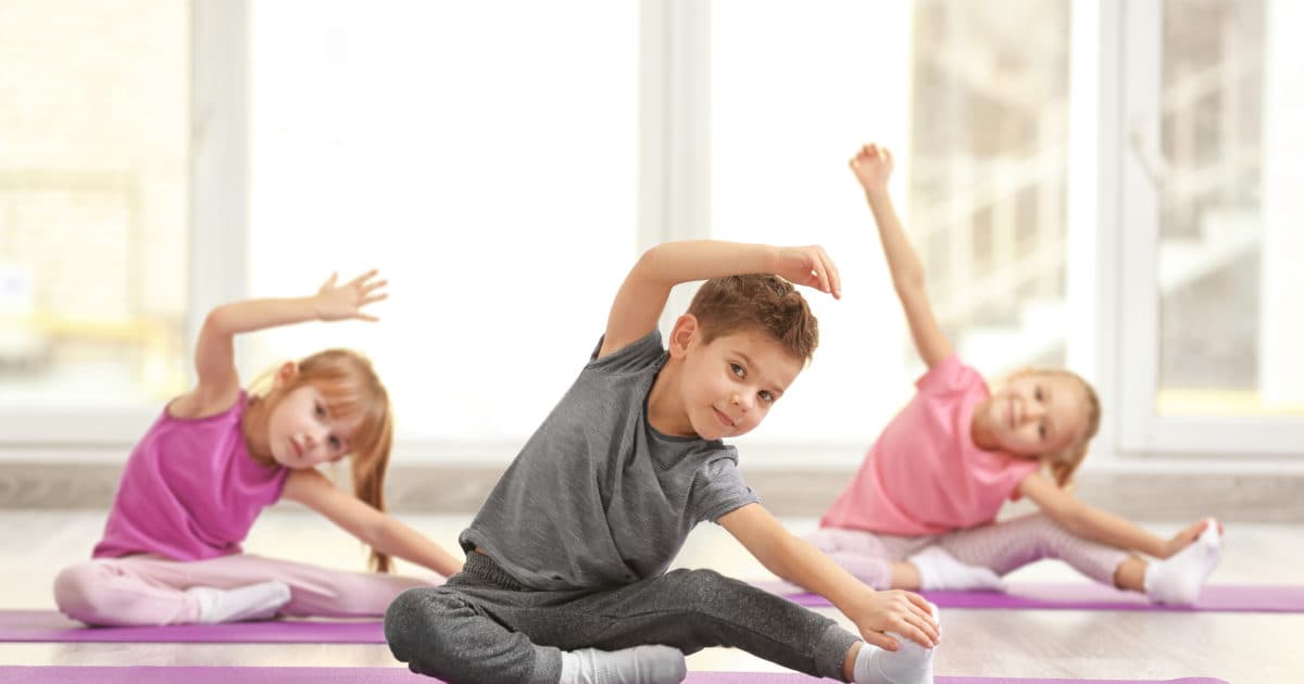 Social learning objectives central to physical education in special education and practical education