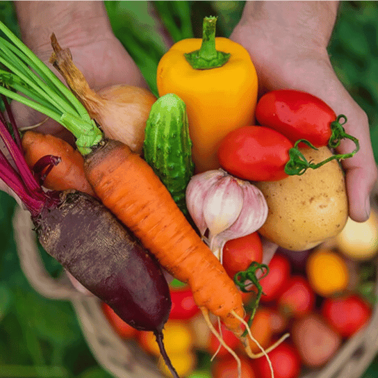 Elementary school Lesson Idea | Nutritional Value of Fresh Produce