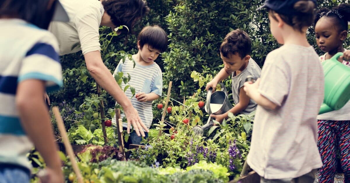School Garden Inspiration Session