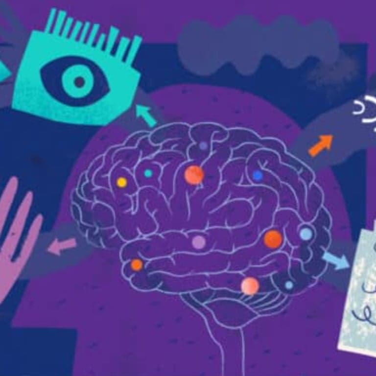 Elementary school Course | Free Sensory Processing Online Course