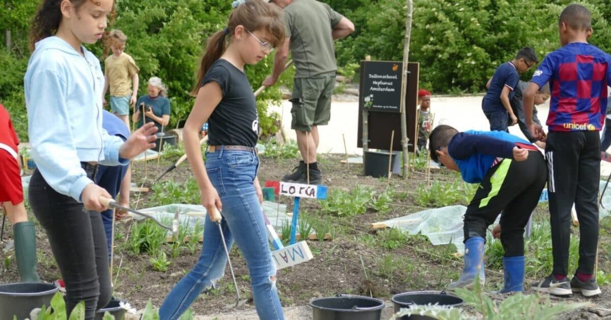 School Garden Week from 22 to 26 May