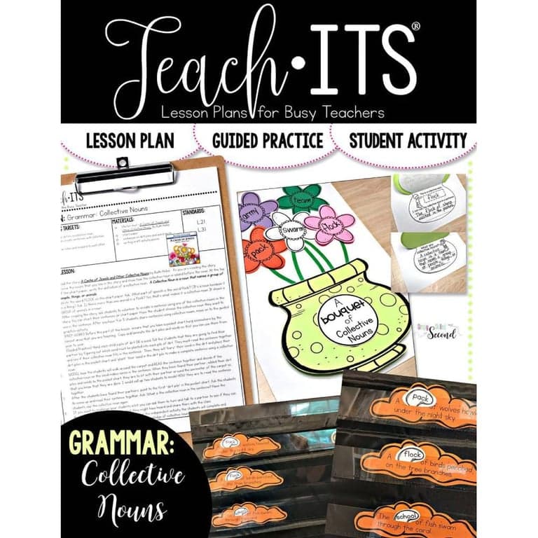 Elementary school Lesson Package | Collective Nouns Lesson
