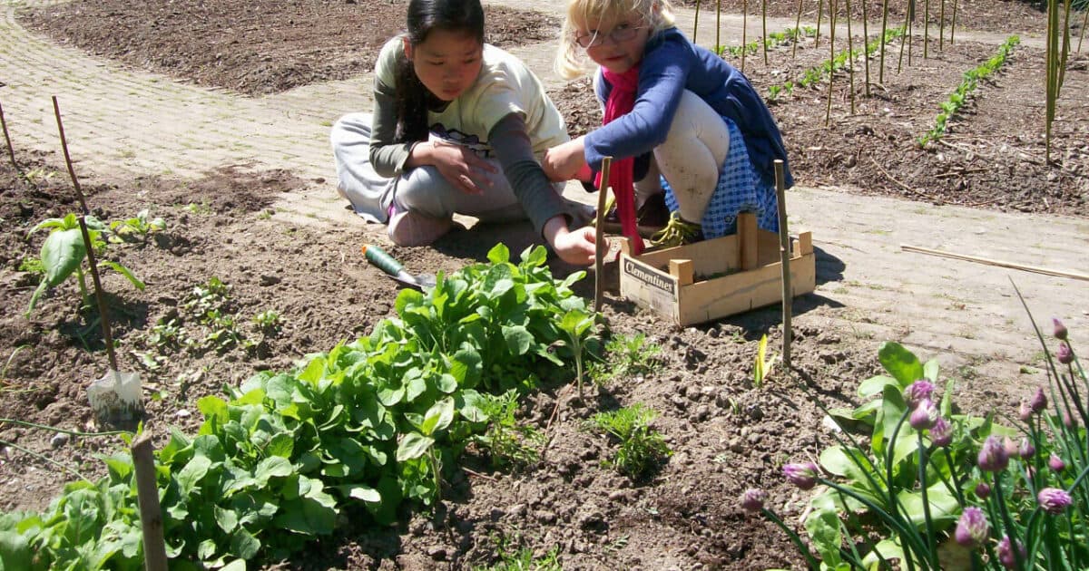 Healthy Childcare Coach? Apply for a subsidy now!