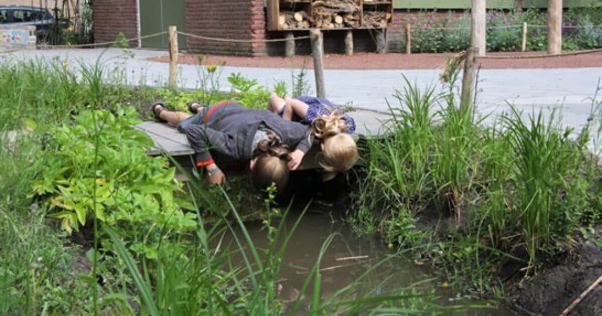 New subsidy round for greening schoolyards in Zuid-Holland