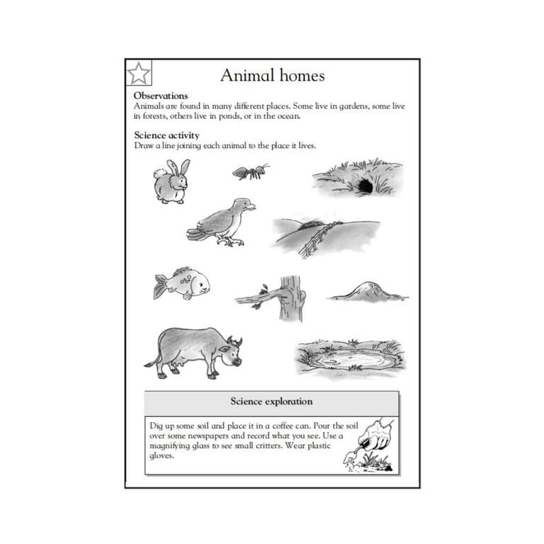Elementary school Worksheet | Animal Homes