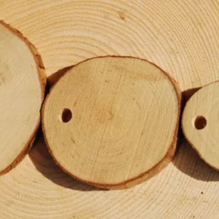Elementary school Lesson Idea | Drill a Wooden Disc