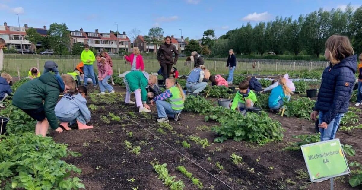 New World Record for School Garden Lesson: 3,768 students!