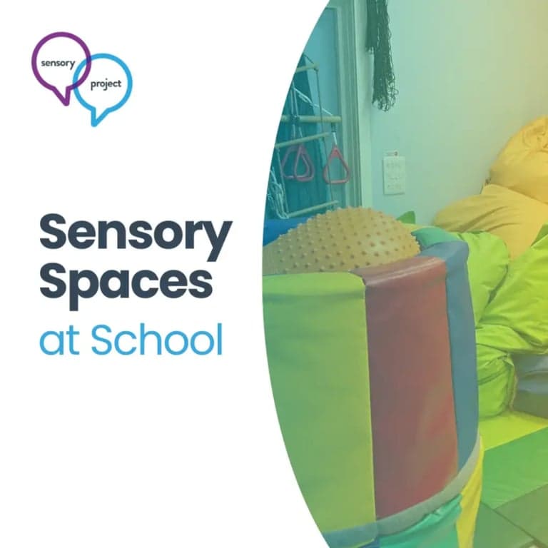Elementary school Webinar | Webinar - Creating Ayres’ Sensory Integration Spaces