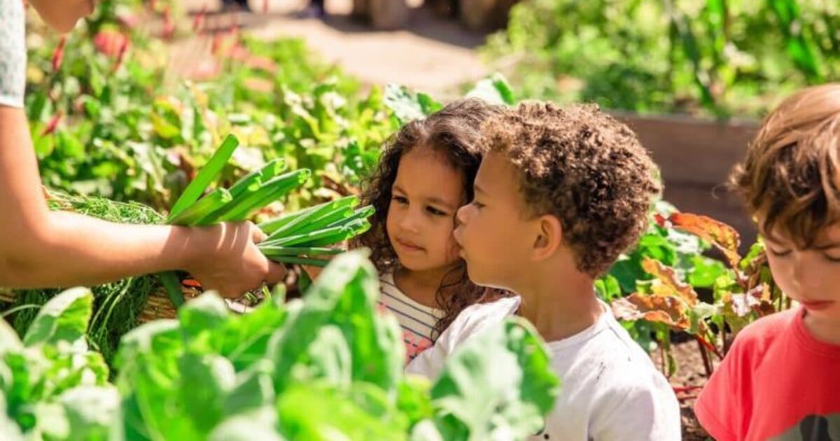 Lekker naar Buiten Incentive Grant for Healthy Childcare