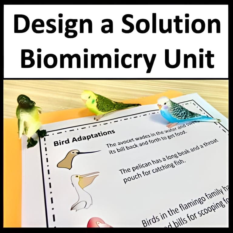 Elementary school Lesson Package | Mimicking Nature to Solve Problems