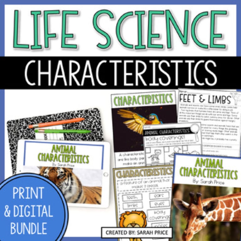 Elementary school Lesson Package | Animal Characteristics Worksheets & Digital Activities – 2nd Grade