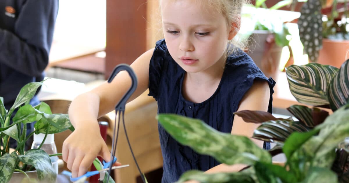 IVN is looking for 20 primary schools to participate in the Living Lab BinnenBos
