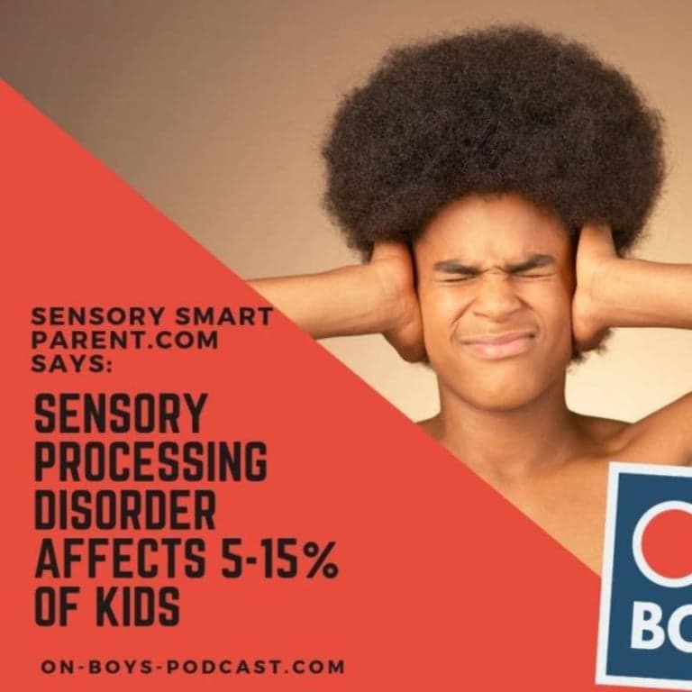 Elementary school Podcast | Sensory Processing Disorder With Nancy Peske