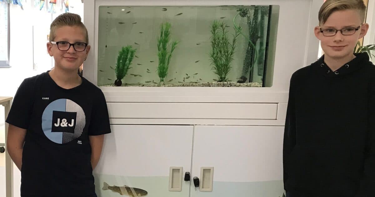 Primary schools with an aquarium in the classroom