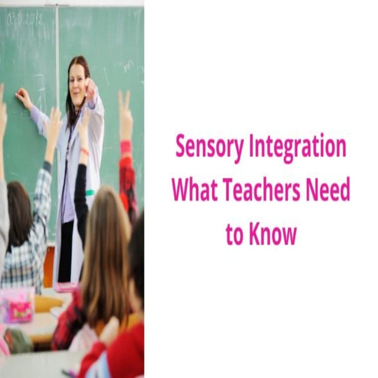 Elementary school Course | Sensory Integration - What Teachers Need to Know