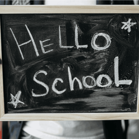 Elementary school Course | Grief-Informed Care: Navigating Trauma, Loss, and Suicide in Schools